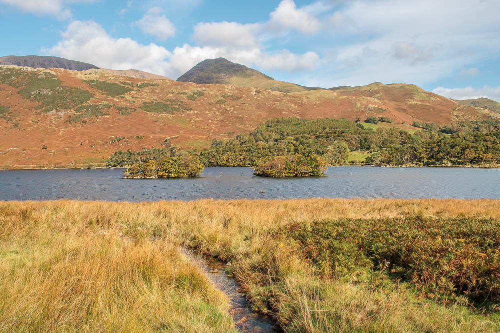 Knott Rigg